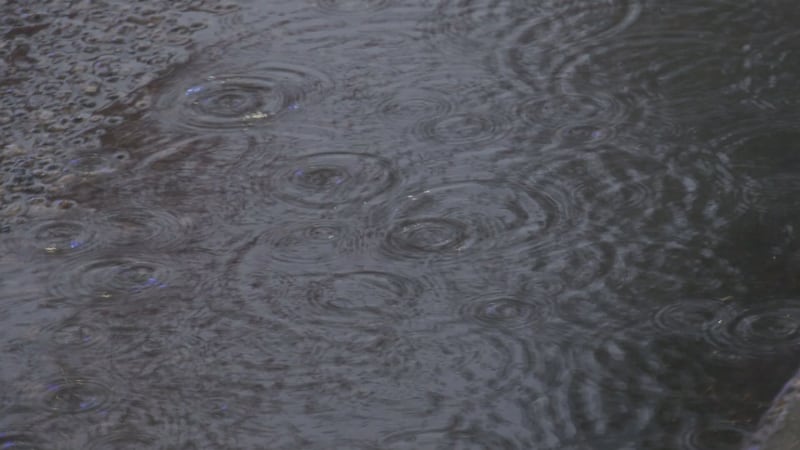How much rain fell in Manitoba on Tuesday