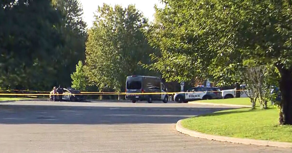 2 bodies found in burning vehicles at separate scenes in Etobicoke, Scarborough