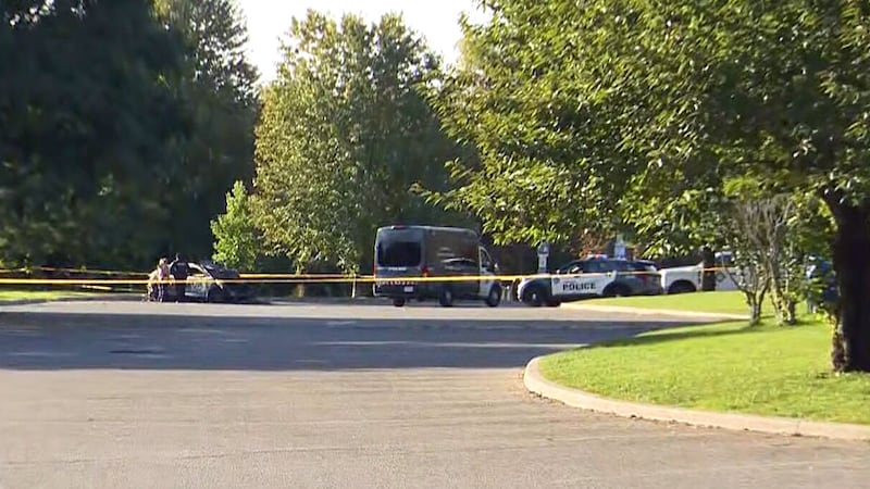 Toronto police’s homicide unit to provide update on bodies found in burning vehicles