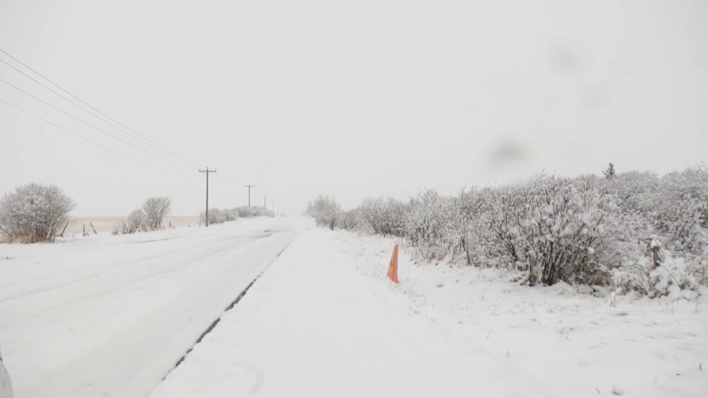 Range Rd 40 RCMP launch homicide investigation after human remains found near Tsuut ...