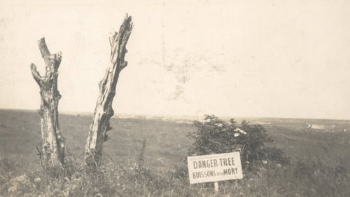 Danger tree installation in France marks 'futility of loss' for Newfoundland Regiment