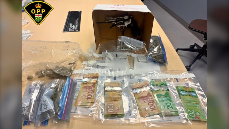Two charged with weapons and drug offences after police stop on Hwy. 11