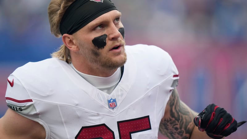 NFL suspends official Seeman two games, referee Hill one game for unprofessional conduct