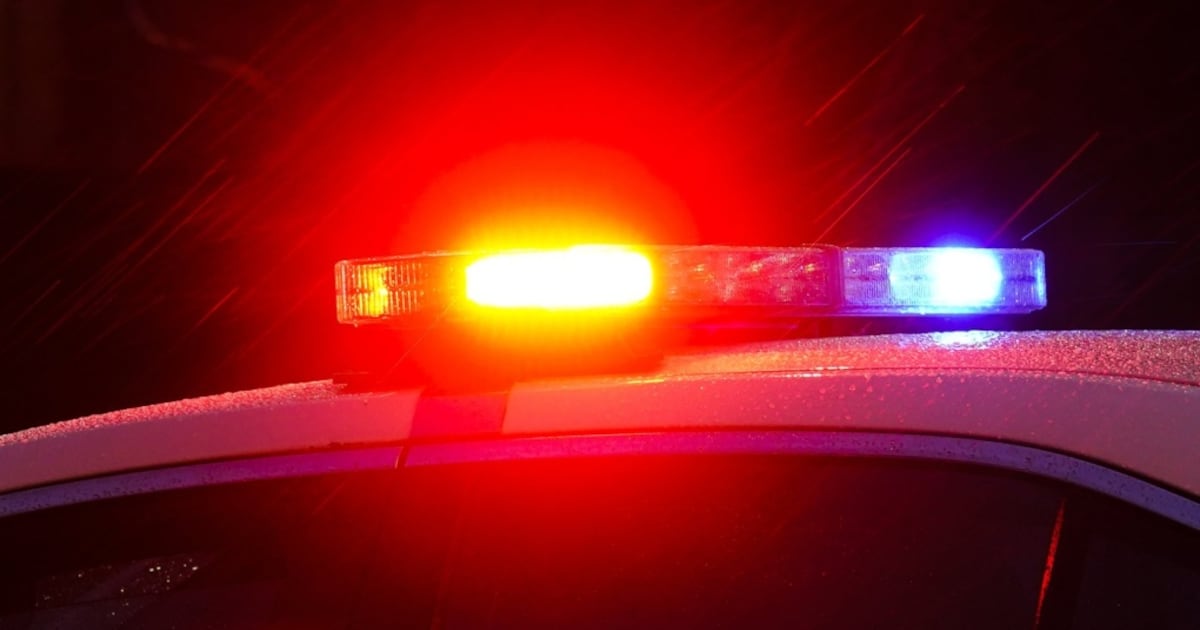 Pedestrian struck by bus, critically injured in Surrey