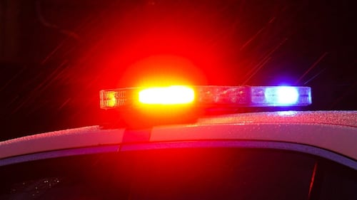 Pedestrian struck by bus, critically injured in Surrey