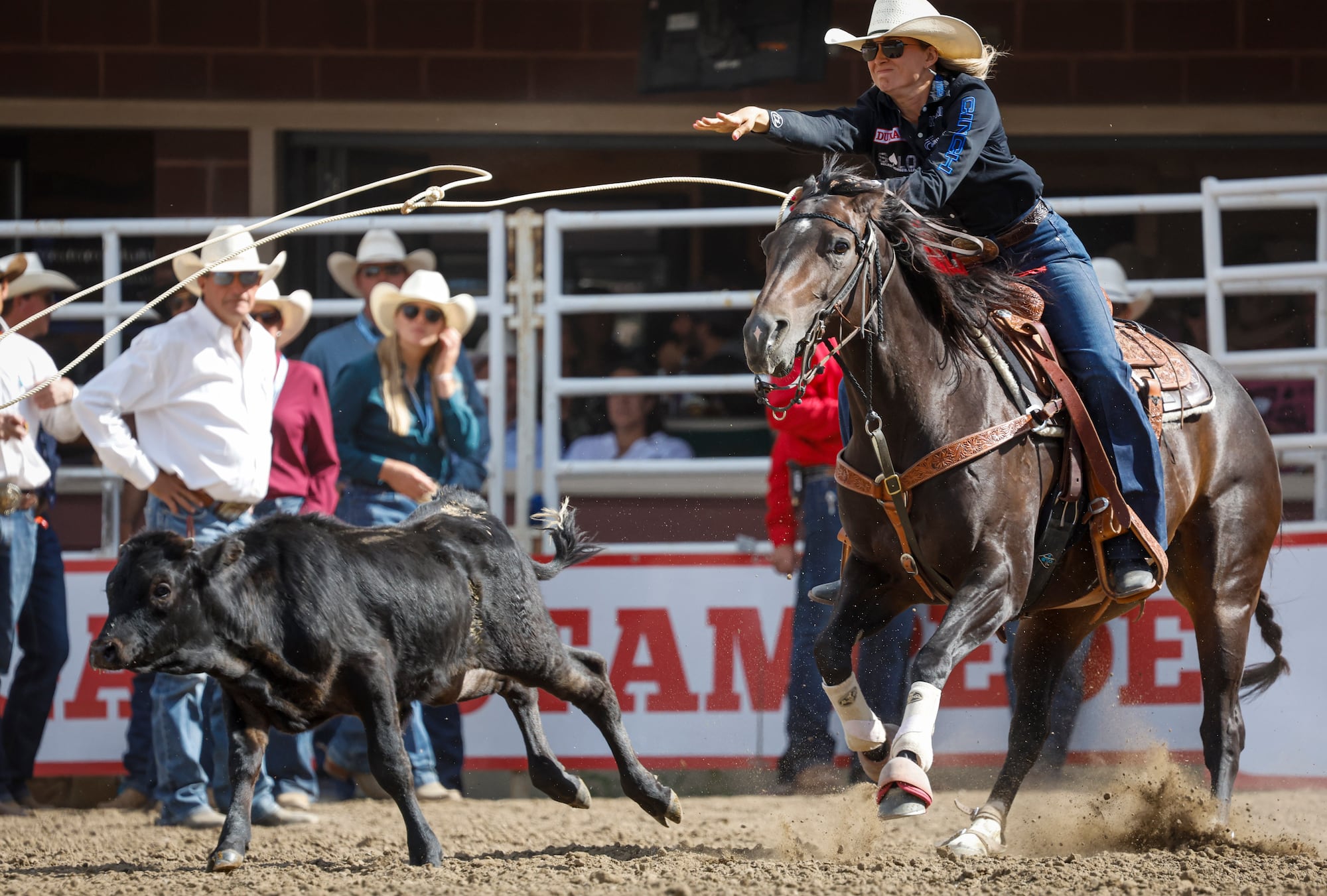 Rodeo action from the final day at the 2026 Calgary Stampede – CTVNews