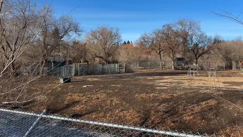 The Edmonton Valley Zoo announced a plan for the next 15 years. Nov. 24, 2025. (Sasha Pietramala/CTV News Edmonton)