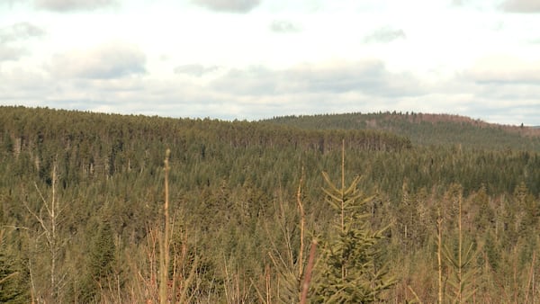 New Brunswick premier says feasibility study for Sisson Mine on track