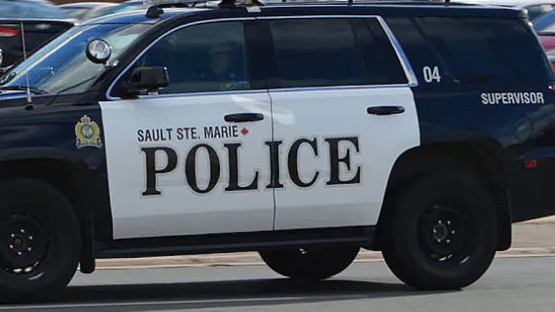 Sault woman charged with 17 counts of theft