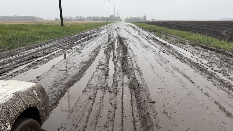 Heavy rain hampers traffic on several highways in central and northern Alberta