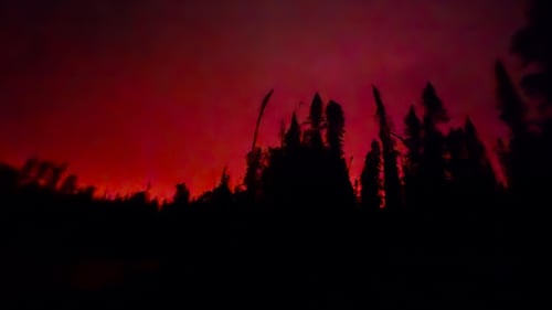 Ontario crews battling about 190 wildfires, half out of control: officials
