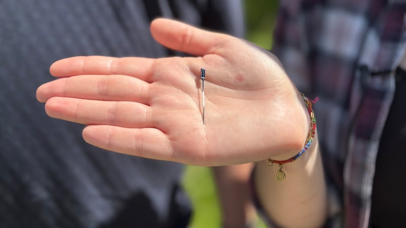 Guelph Arboretum buzzing with excitement as bumblebee tracker takes flight