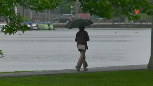 A blustery, rainy Thursday in Ottawa