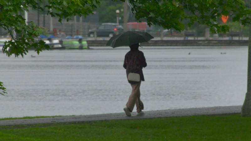 Up to 40 mm of rain expected in Ottawa on Thursday