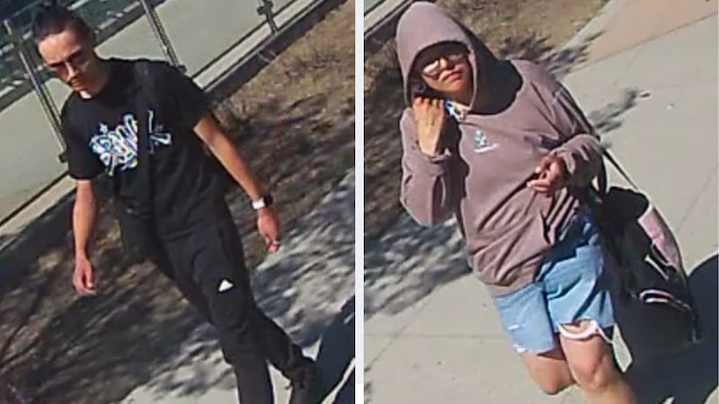 2 suspects sought by police in assault of convenience store clerk in west Edmonton