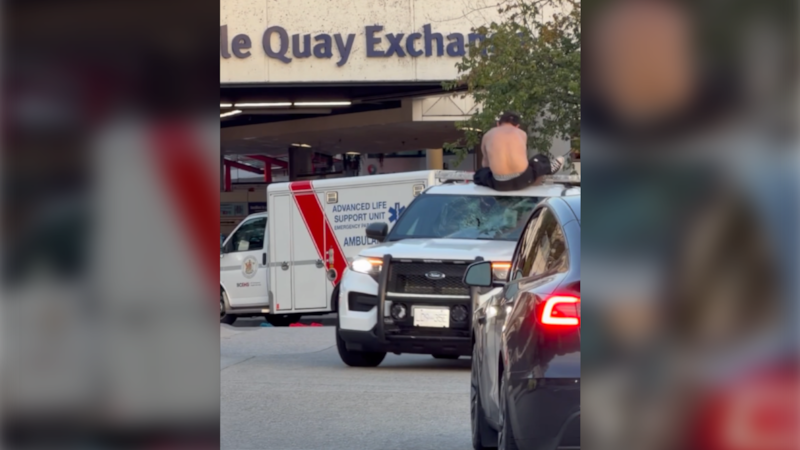 IIO investigating arrest of man seen clinging to roof of RCMP vehicle in North Vancouver
