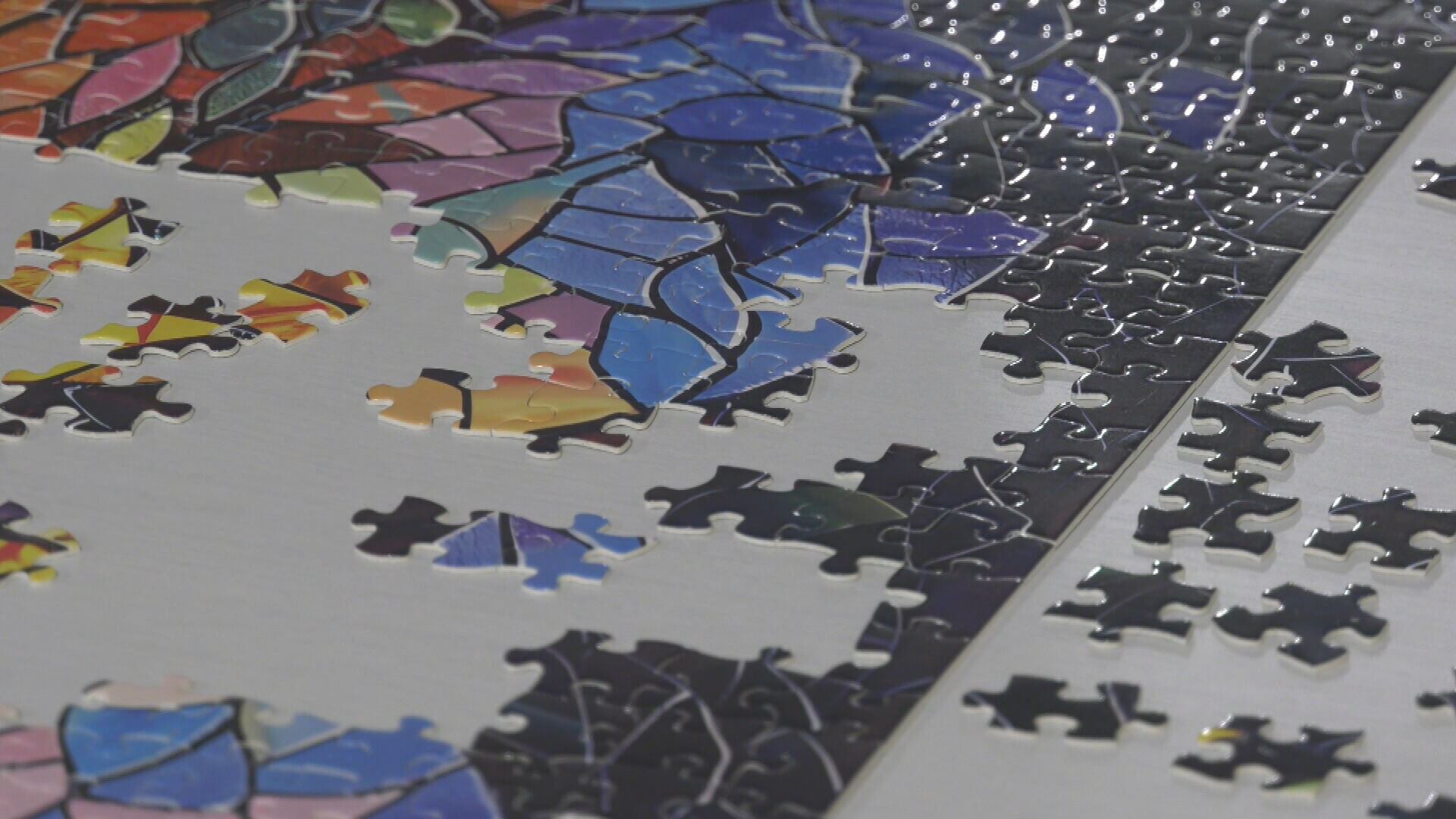 The Puzzle Shop in south Edmonton is accepting gently used puzzles that are 200 to 1,000 pieces for their charity event, "Puzzle Bee for Charity." (Brandon Lynch/CTV News Edmonton)