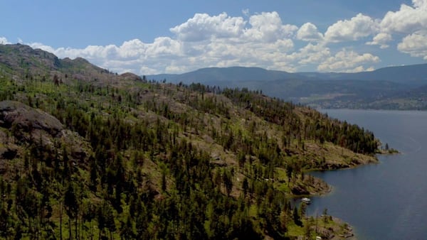 B.C. foundation offers free hiking app membership to encourage more time in nature