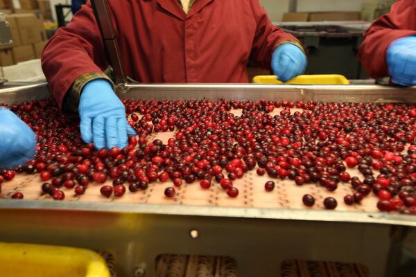 New program will help N.S. food, beverage producers expand into more markets