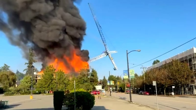 Firesmart volunteers hoping proactive measures prevent urban wildfires