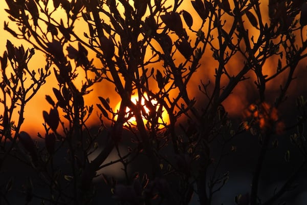 From Sun to Showers: Windsor‑Essex Weather Turns Unsettled After Today