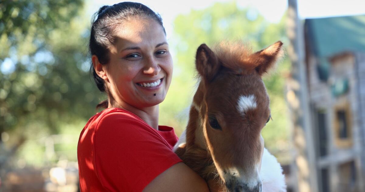 A month-old pony moves to a 4th-floor apartment in Croatia ...