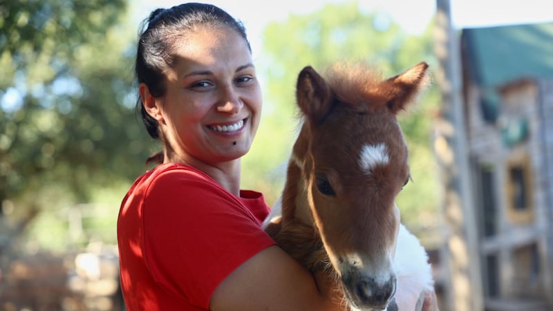 A month-old pony moves to a 4th-floor apartment in Croatia. Neighbours don’t mind