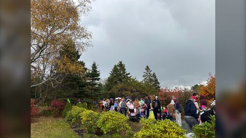 Trick-or-treaters are pictured at the Gaetz Brook Greenway for the Halloween Trick-or-Treat Trail Walk in East Chezzetcook, N.S., on October 25, 2025. (Emma Convey / CTV Atlantic)