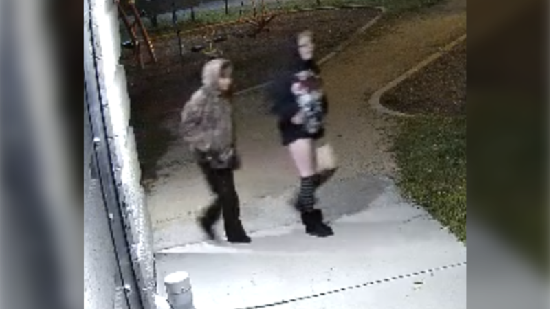Police looking for people of interest following suspected arson