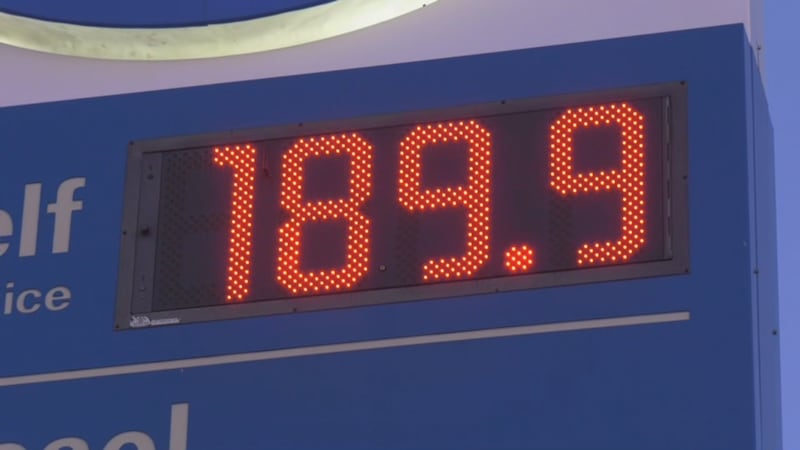 Respite at the pump? Don’t count on it: economist