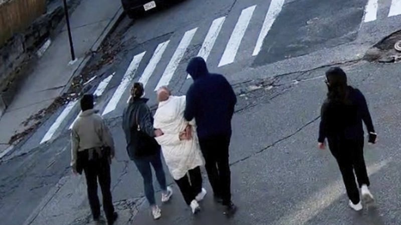 Pro-Palestinian Tufts University graduate targeted by Trump administration returns to Turkiye