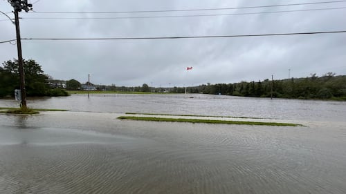 A field is flooded.