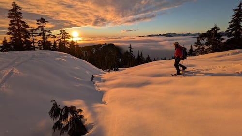 North Shore Rescue locates out-of-bounds snowboarder on Mount Seymour