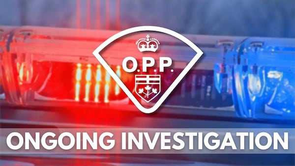 Driver flees scene after two-vehicle collision in Lakeshore: OPP