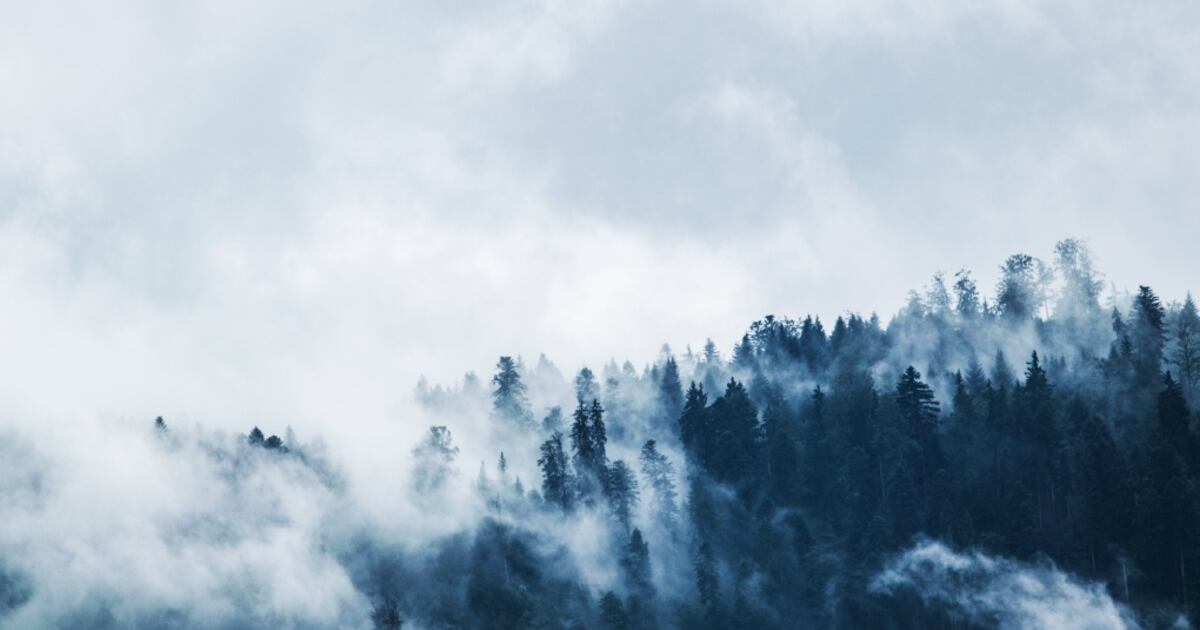 Jet Streams Explained Here's how a powerful jet stream could impact Canadian weather