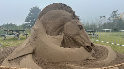 A horse and shark are pictured sculpted out of sand. (CTV/Avery MacRae)