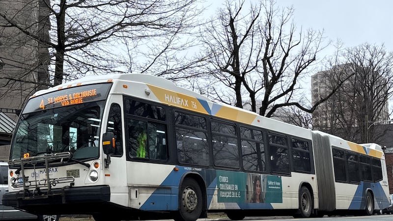 Truro, N.S., mayor says transit link to Halifax would open doors and economy