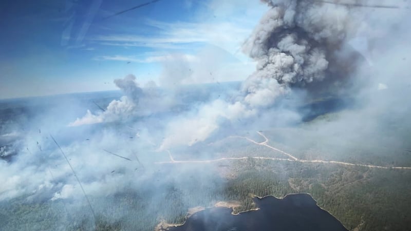 Wildfire evacuees and pets arrive in Barrie as Northern Ont. forest fire continues