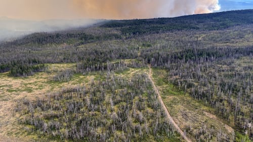 Pilot injured after helicopter crash during wildfire fight in B.C.
