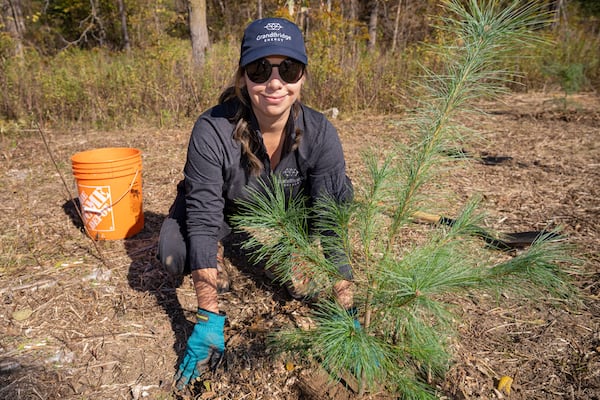 New ‘microforest’ planted outside Cambridge soccer complex