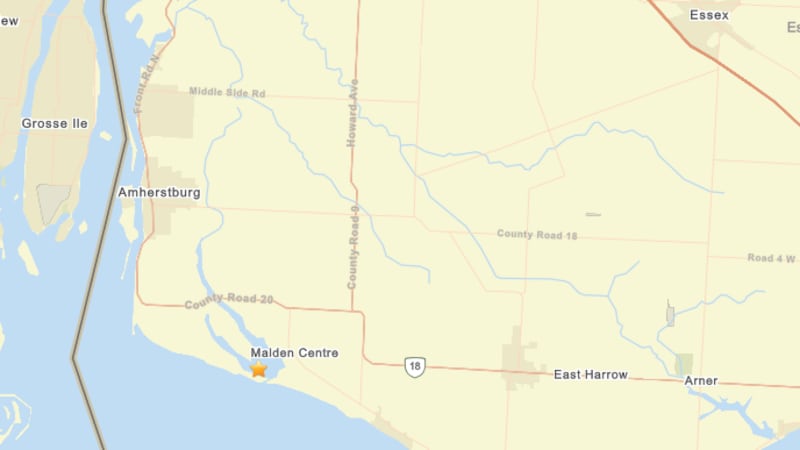 2.9 magnitude earthquake felt near Amherstburg, Ont.