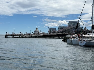 Thousands of fans showed up at the Halifax Harbour for the 2026 Canada Sail Grand Prix in Halifax. (Callum Smith/CTV News)
