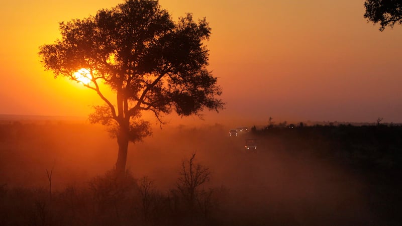 Tourists killed in South Africa national park, authorities say