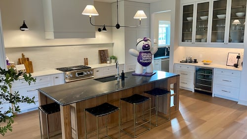 The Stollery Children's Hospital Foundation's Fall Mighty Millions Lottery home launch on Aug. 12, 2026. (Evan Klippenstein/CTV News Edmonton)