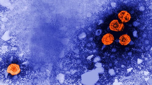 Experimental hepatitis B drug may offer 'functional cure' for some patients