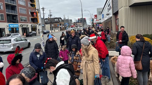 Dozens of people are pictured walking on a sidewalk with their dogs.