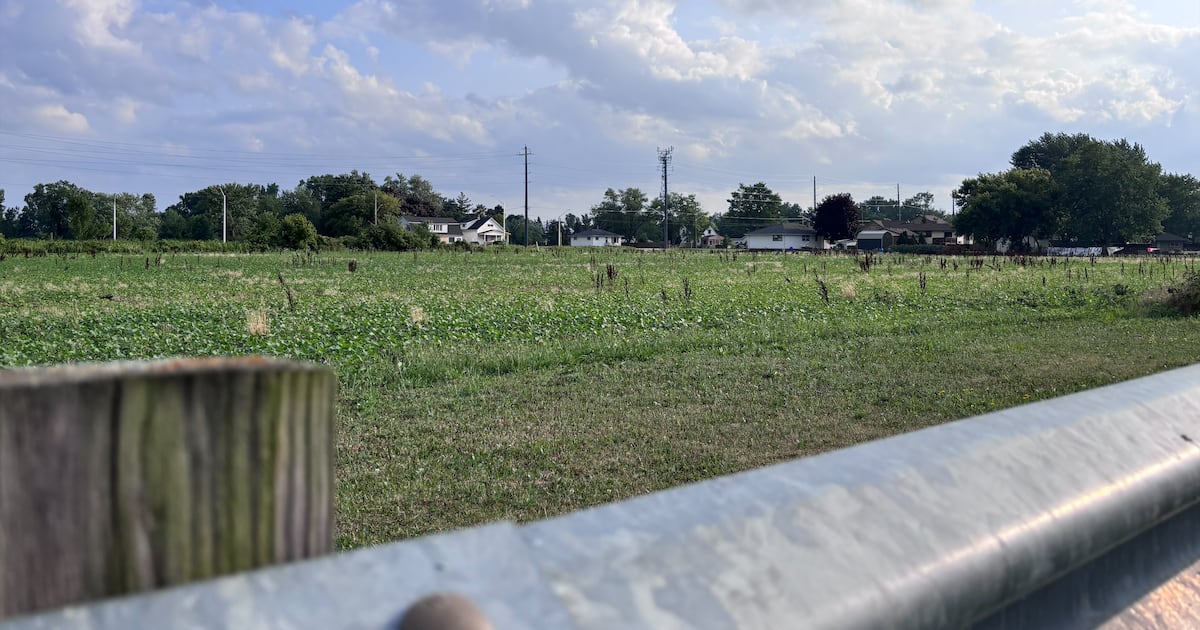 Residents oppose proposed Tecumseh hotel development