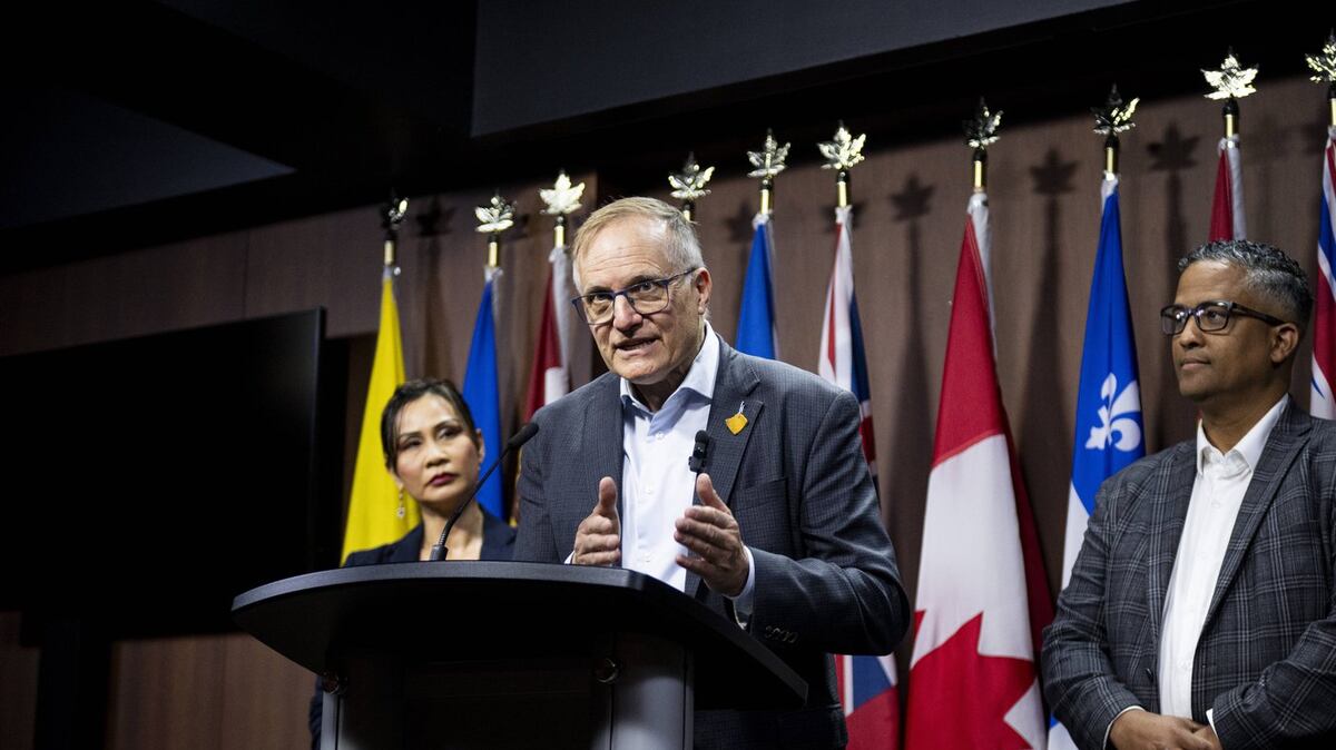 Interim NDP leader Don Davies outlines post-election plans