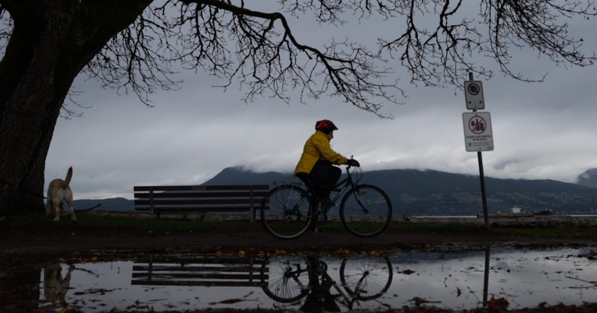 'June-uary' returns to Metro Vancouver, up to 60 mm of rain expected Sunday