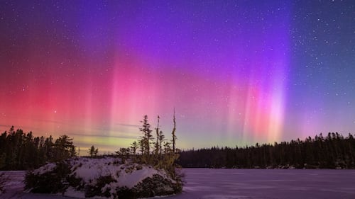 The Northern Lights are pictured in Aspotogan, N.S., on Jan. 19, 2026. (Courtesy: Barry Burgess)